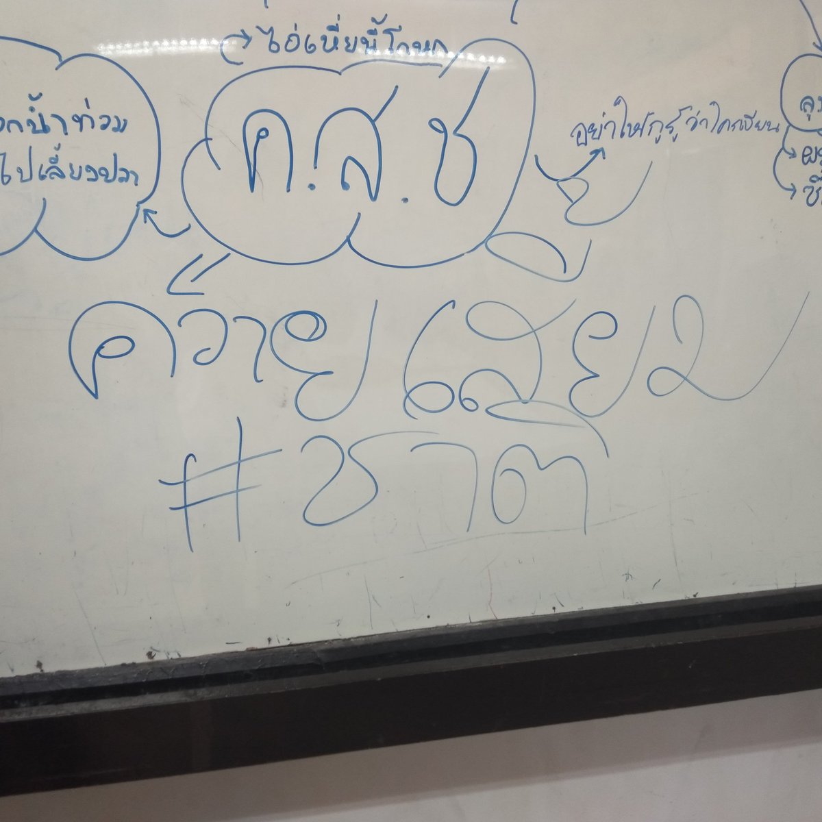TŔ tweet media