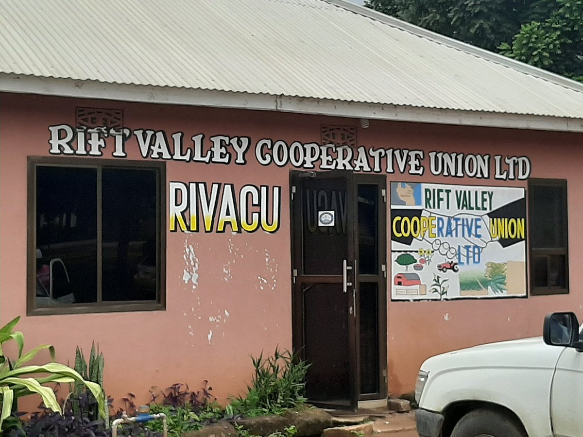 Mikidaditz's tweet photo. Making assessment to this #Coopunion @RIVACU for CRAFT #commonbeans #sunflower.
Alot of planning available on table.....
Support from regional governments available for them https://t.co/Lo4OsrvuWj