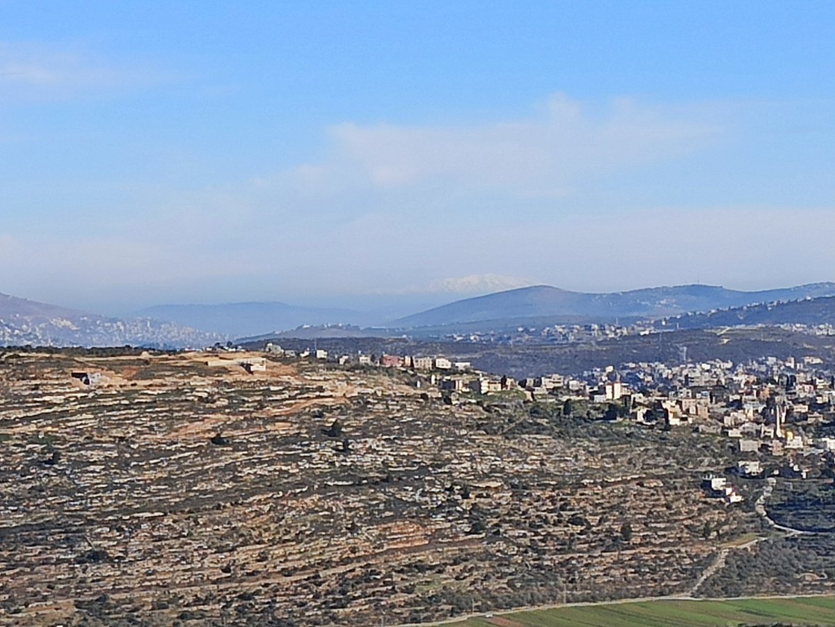 אסף ליבוביץ tweet media