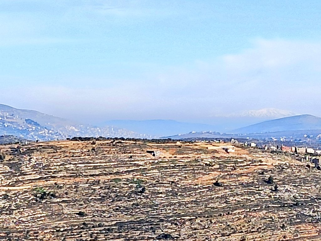 אסף ליבוביץ tweet media