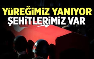 Ey, bu topraklar için toprağa düşmüş asker! Gökten ecdâd inerek öpse o pâk alnı değer. Ne büyüksün ki kanın kurtarıyor Tevhîd’i… Bedr’in arslanları ancak, bu kadar şanlı idi. (Mehmet Akif Ersoy)