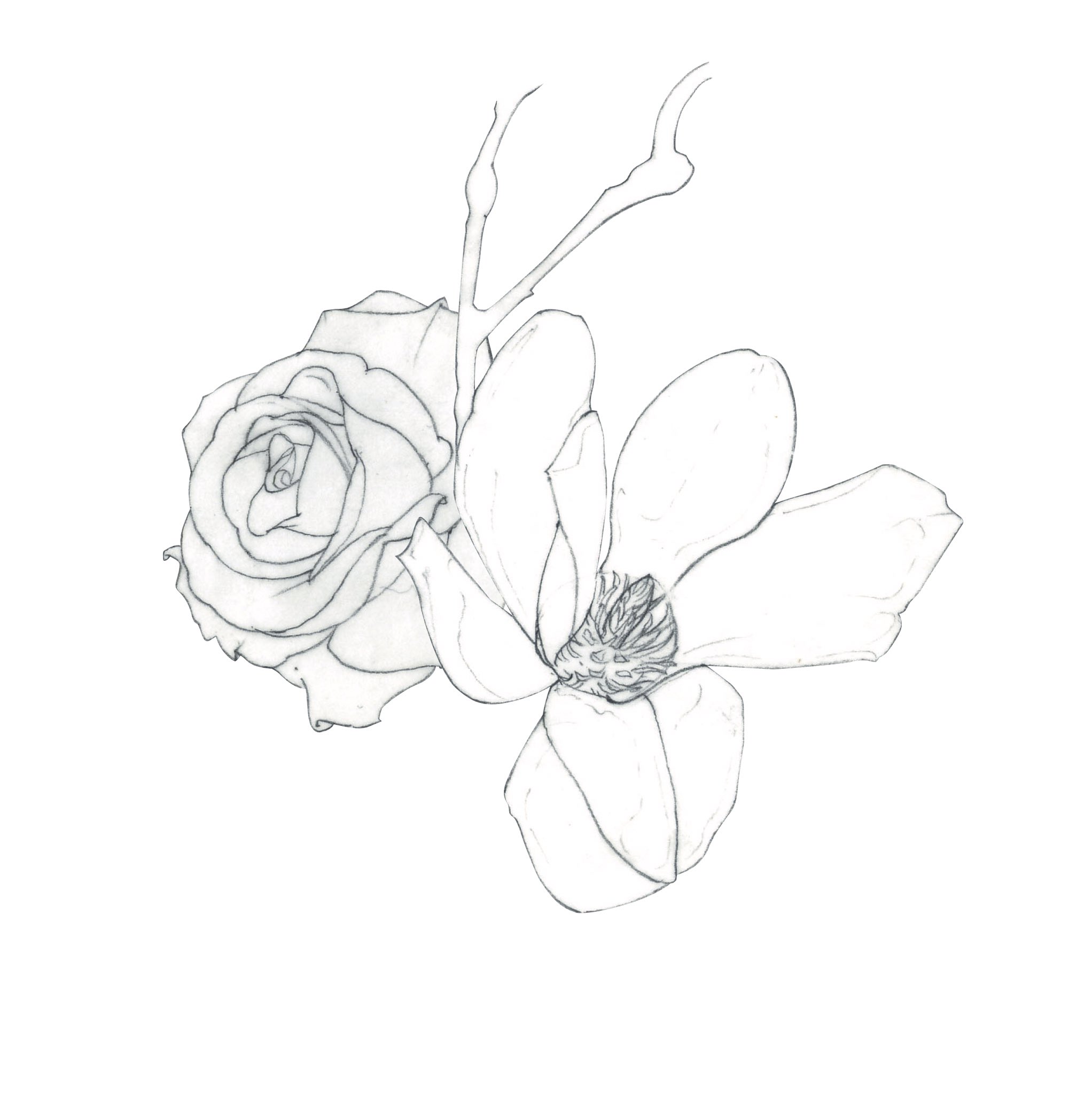 Shino Al Twitter 花の絵を鉛筆で描く 絵を描くのは好きだが 美しい配置が分からない 活け花とか フラワーアレンジメントとか そっちの才能も必要なのか 習っとけば良かった 機会があれば活け花教室でも行こうか Illustration Art 花の絵 イラスト