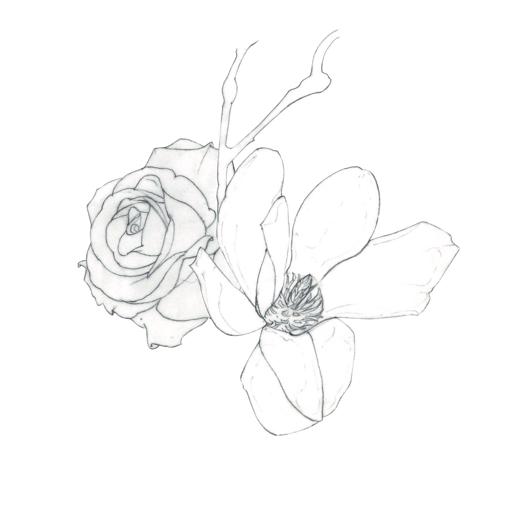 Shino 花の絵を鉛筆で描く 絵を描くのは好きだが 美しい配置が分からない 活け花とか フラワーアレンジメントとか そっちの才能も必要なのか 習っとけば良かった 機会があれば活け花教室でも行こうか Illustration Art 花の絵 イラスト