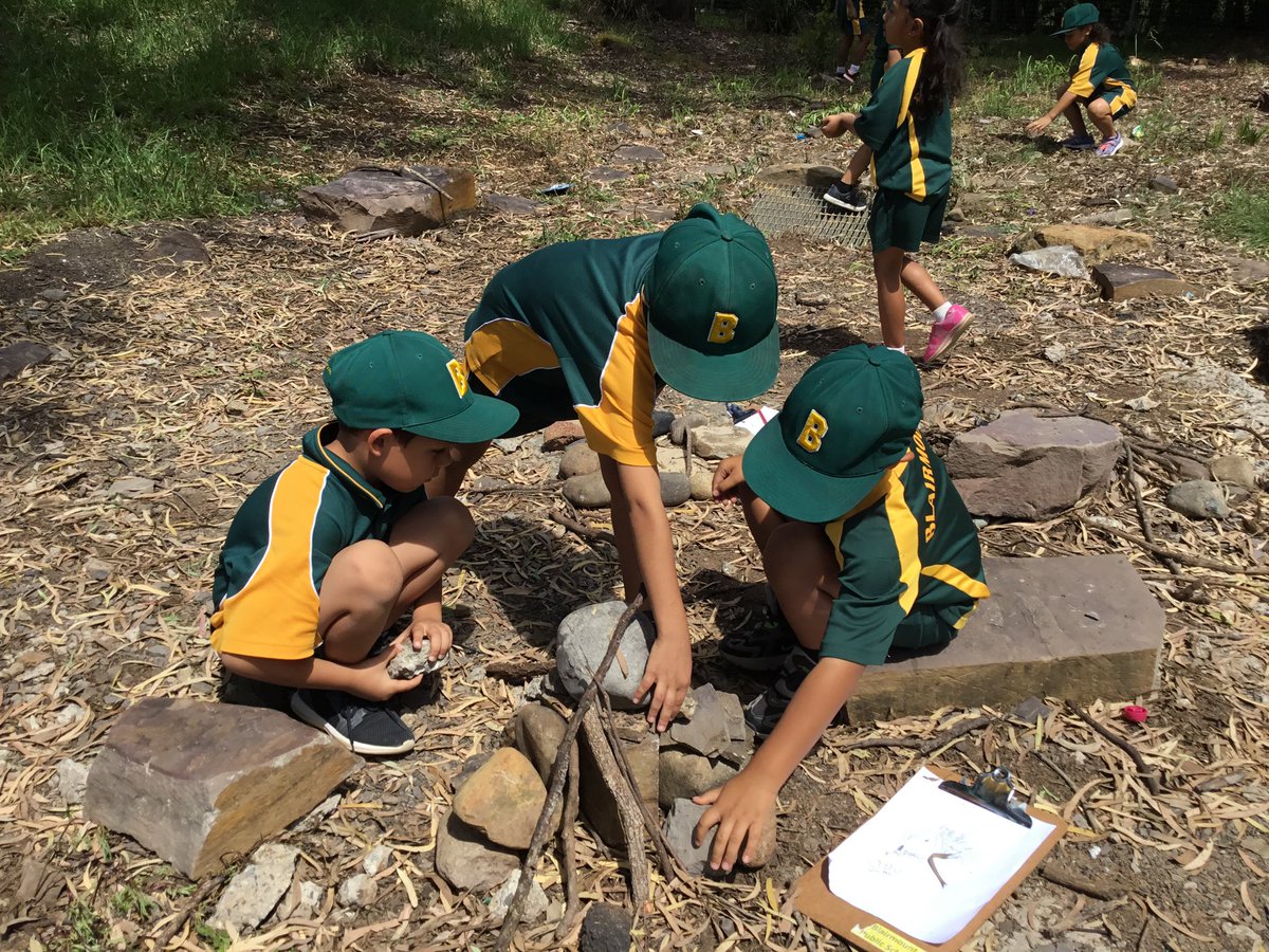1/2S &amp; 1M collaborated in some outdoor learning today. Ss were so engaged and created some amazing natural homes 😎 <a href="/McgaugheySarah/">Sarah McGaughey</a> #thisisblairmount