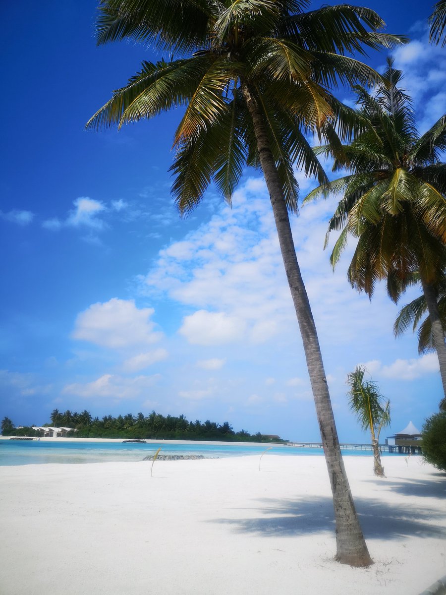 Martyn Barrett (Baz) tweet media