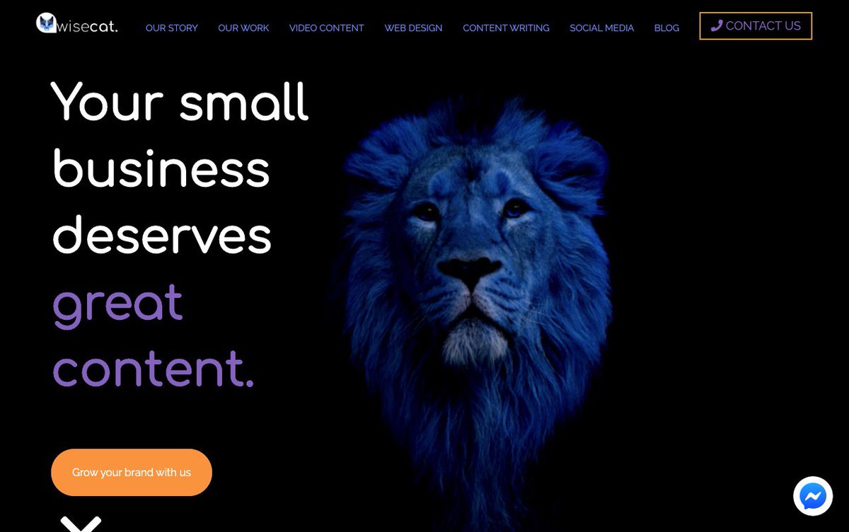 wisecatmedia's tweet image. New website pending 😍 @shopblocks #contentagency #blocklab #contentcreation #smallbusinessowners