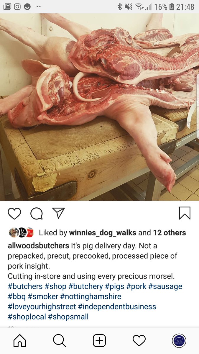 s_allwoods's tweet photo. Pig day https://t.co/U1tGbp94vl
