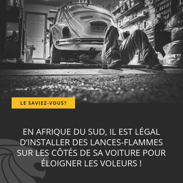 CCLOT_France's tweet photo. Retrouvez toutes les semaines #lesaviezvousbycclot !

#cclot #lesaviezvous #clotures #portails #portillons #serrurerie #barfences https://t.co/HJT2rDTgiA