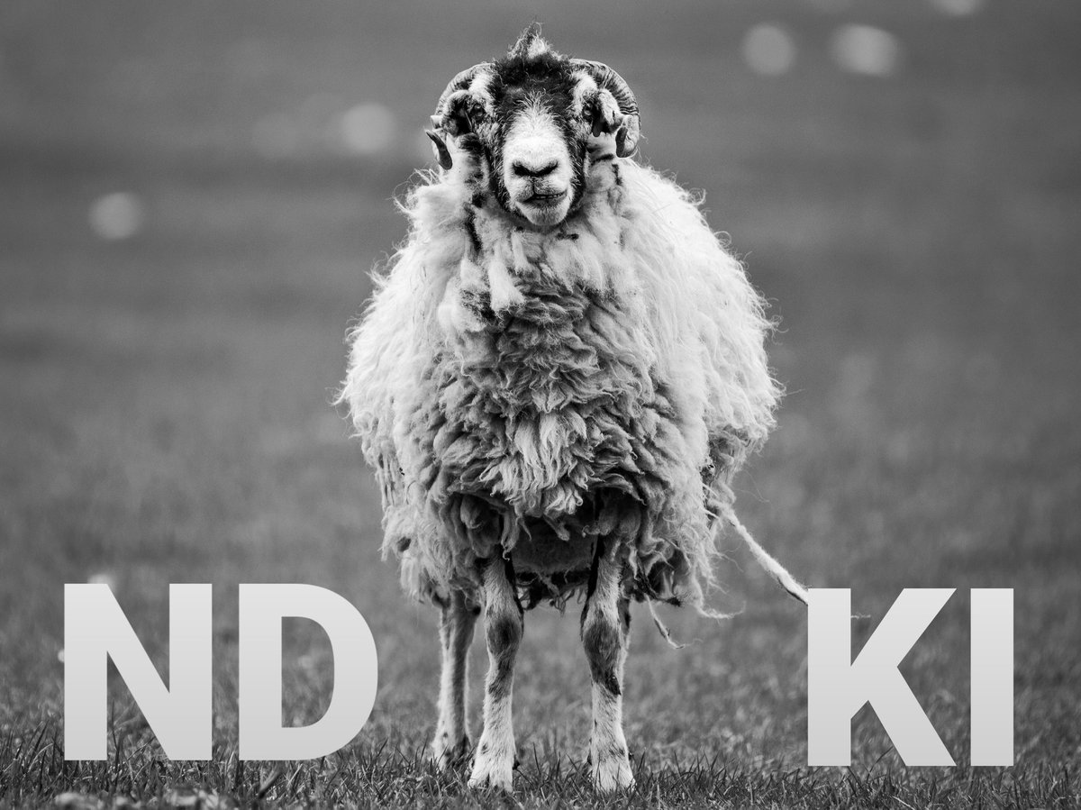 baumenschDE's tweet photo. Wird Planen und Bauen durch künstliche Intelligenz #KI revolutioniert? Manchmal glaube ich, sie ist aus der Flucht vor #ND entstanden - der Natürlichen Dummheit. Es hilft nix, Leute. Wir sollten uns zunächst um ehrliche Kollaboration kümmern. https://t.co/I8V4K1cm4g