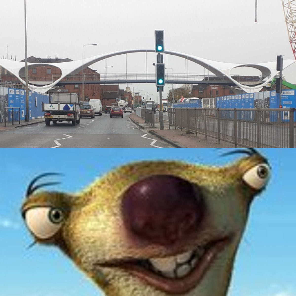 fest_break's tweet photo. @bbcburnsy Surely it should be called Sid, after all it does look like him! https://t.co/8IQriplY4A
