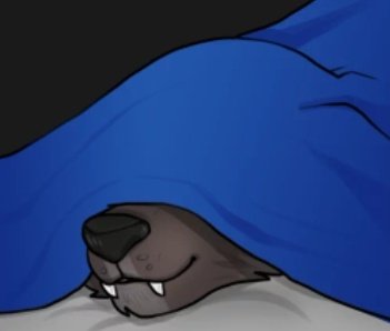 WolfBoyJ's tweet photo. Little known fact. Werewolves need cool temperatures to sleep well. House is usually at 68 and I sleep with an ice pack for added cooling #facts #werewolf #Werewolf101 https://t.co/uQs45eoDiT