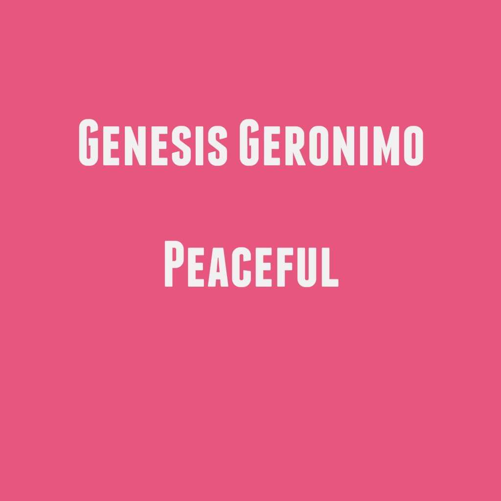 genesisgeronim0's tweet photo. This is the first time making trance music.

Peaceful will available on February 29th, 2020 on iTunes and Spotify.

#Batch1AndOnly
#Batch2getherForever
#BatchUltimate3hreat
#Batch4TheWin
#upcomingsong #upcoming #MusicIsLife #edm #Trance #ArminVanBuuren #Tiesto #TranceMusic https://t.co/2Tc4ntJgGa