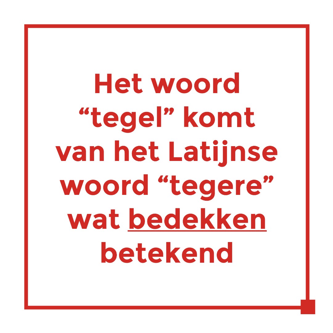 Comet_bv's tweet photo. Ben jij opzoek naar keramische bedekking voor een nieuw project? Bestel gratis tegelmonsters via onze website. Vandaag inspiratie en morgen op je bureau!

#tegelmonsters #architects #design #tiling #ceramictiles #welovetiles #bouwen #tegels #wandtegels #vloertegels #flooring https://t.co/qjzYsAfmmn