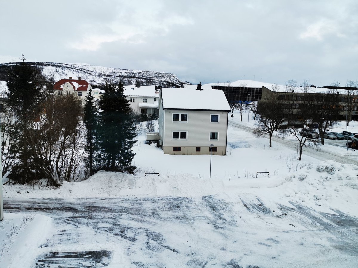 JanePlumb's tweet image. Loving the view from my bedroom window this morning ❤️

#sortland #norway #AuroraChasing