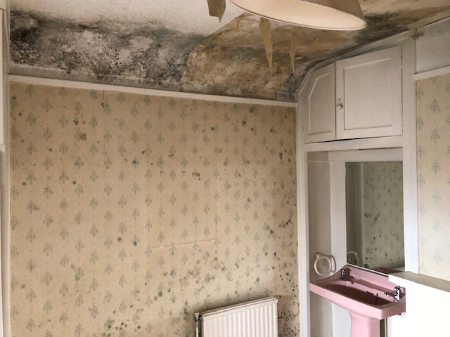 Restorationsuk's tweet photo. Has your home been affected by mould this winter? Call us on 08000 926 123 for a free quote to clean up, decontaminate and seal the mould to prevent it from coming back. #mould #cleaning https://t.co/QlWRNiSkqm