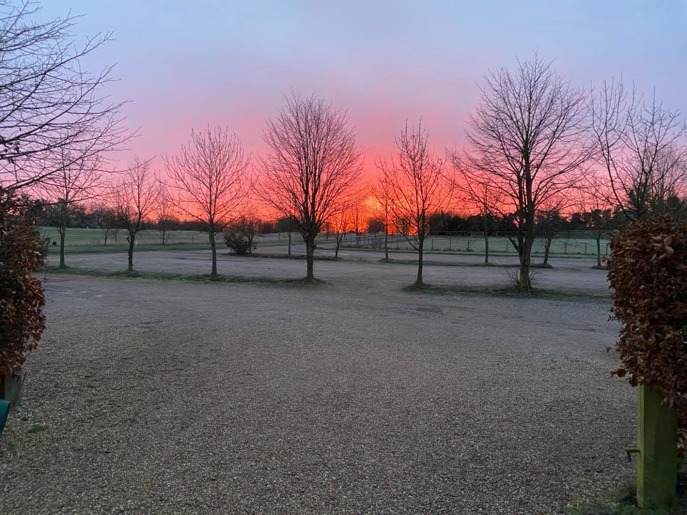 AshValleyGC's tweet image. Good morning! Ash Valley really does show nature at its best 😍
#hertsgolf #hertfordshiregolf #hertfordshirelife #golf #sunriseoftheday #golfcourse #herts #hertfordshire