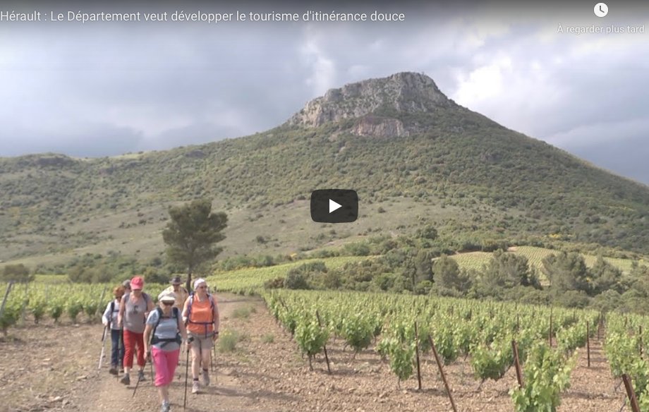 L’#Hérault est la première destination touristique d’#Occitanie et la 4ème de France. Le département mise sur l’itinérance douce (randonnée, vélo, cheval), un mode de voyages respectueux de la nature qui connait un fort essor. bit.ly/31wmNca <a href="/Heraultinfos/">Département de l'Hérault</a> <a href="/kmesquida/">Kleber Mesquida</a>