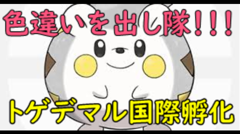 バースデイ V Twitter 本日は21時から放送 俺も指王の景品を提供したいので色違い粘る 放送タイトル 色違いを出し隊 トゲデマル 国際孵化 ポケモン剣盾 放送はコチラ Https T Co Buxnmydtrq