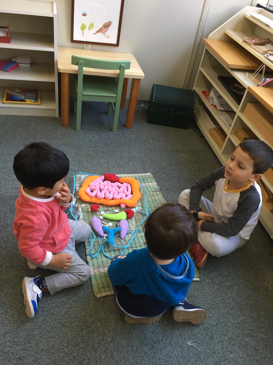 MSTokyoCedar's tweet photo. He’s been giving a lot of lessons to the youngest classmates recently - they wait for him as soon as they get to school! #MSTinspire #MSTkindness #MSTsunshine https://t.co/Wr1te5shQz