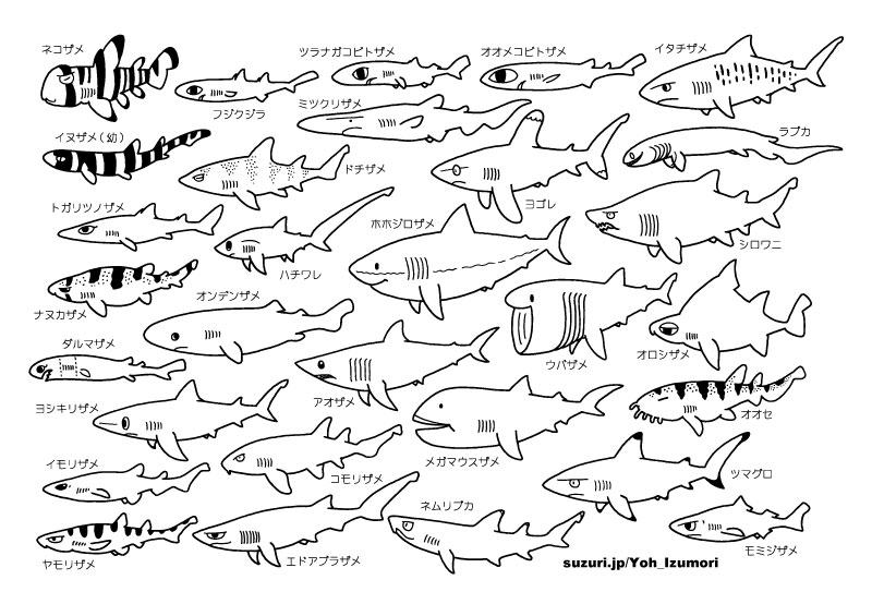 インドア暇つぶし用に海の生き物とサメのぬりえをネットプリントに登録しました。セブンイレブンのマルチコピー機で下記の予約番号を入力すれば印刷できます。1枚20円。3月6日まで。配布も可ですが営利目的使用はご遠慮ください。

海の生き物:99026299

サメ:26945883

 #ツイッターで楽しむ展覧会 