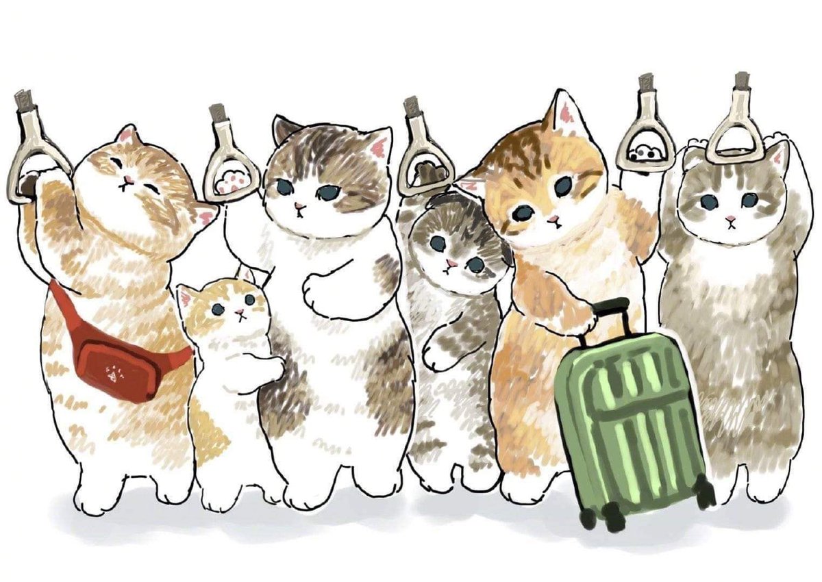 Laura Utsiputsi tweet media