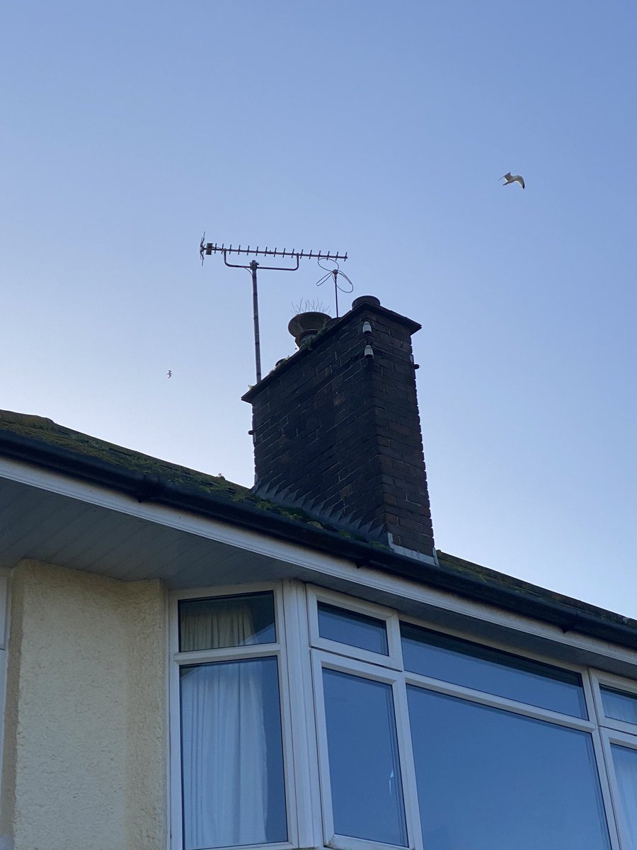 ben_exestoves's tweet image. Mi Fires Skiddaw 4.9 KW stove completed with Slate Hearth, Flue System and Chamber by Comfort Heating &amp;amp; Stoves @MIFlues_Jason