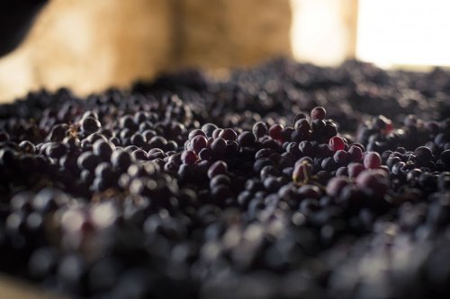 Nuovo appuntamento con il vino – Il gusto della maturità. Sabato 7 marzo 2020 h. 20:00 cyranolibri.wordpress.com/2020/02/28/nuo…