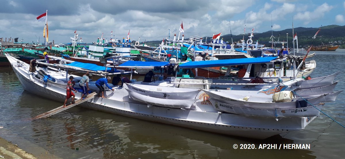 AP2HI_'s tweet photo. AP2HI bersama members dan @IPNLF @yayasanipnlfind meningkatkan kegiatan FIP di area Sulawesi Tenggara dan sekitarnya, khususnya Kendari.
.
Lebih detailnya, silakan klik link berikut: https://t.co/pVRz52U2Wd
.
#FisheriesImprovementProject #TowardsMSCFisheryCertification https://t.co/krb2eUMxUu