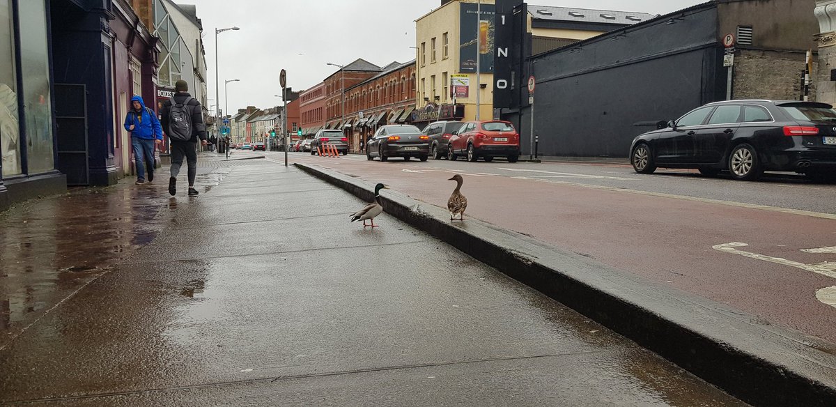 A good day for this couple on #WashingonStreet #CorkCity #LoveTheLee