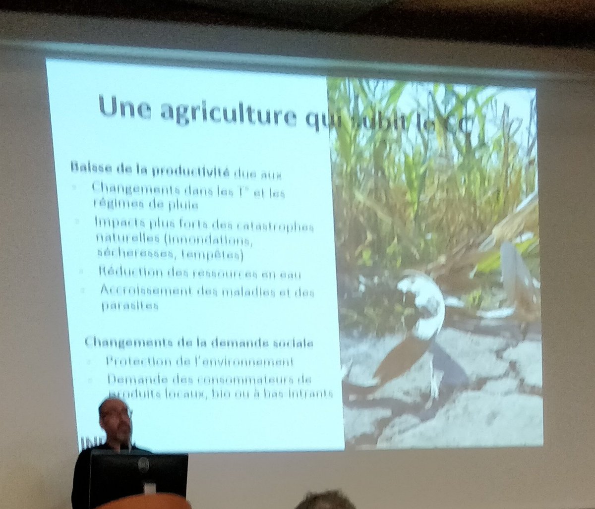G_Devailly's tweet photo. Glad to attend the AI &amp; agriculture day @DigitAgLab #IMABS at @INRAE_Tlse 👍 https://t.co/OHyihjgUEx
