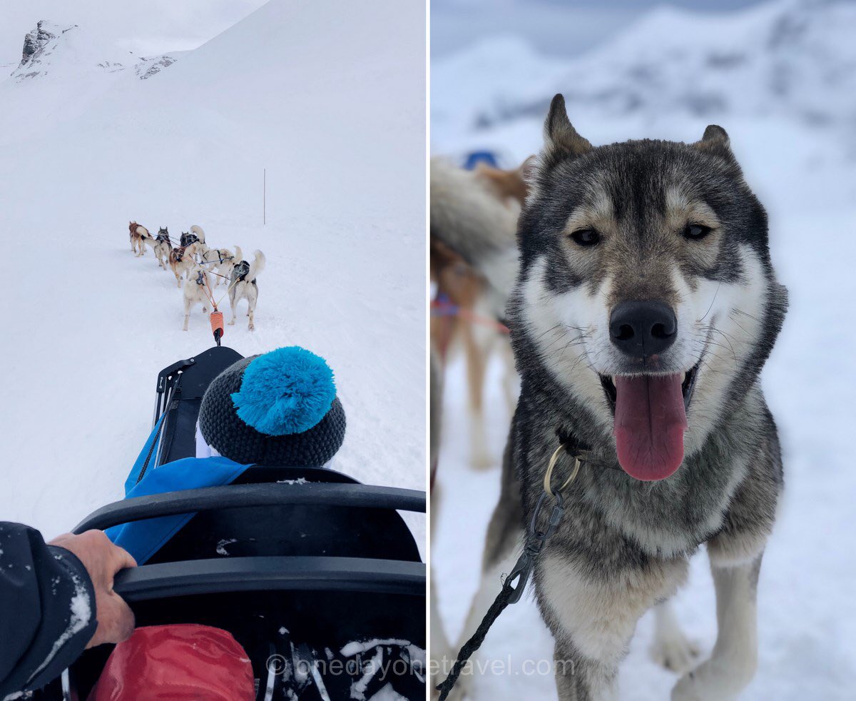 Onedayonetravel's tweet photo. 5 activités de sports d’hiver à ne pas rater dans les #Alpes françaises 🎿🏔
👉 https://t.co/ulo5awMkL1
#onedayonetravel #blogvoyage
#morzine #orcieres #grandbornand #chamonix #alpedhuez https://t.co/xLE26ouSve