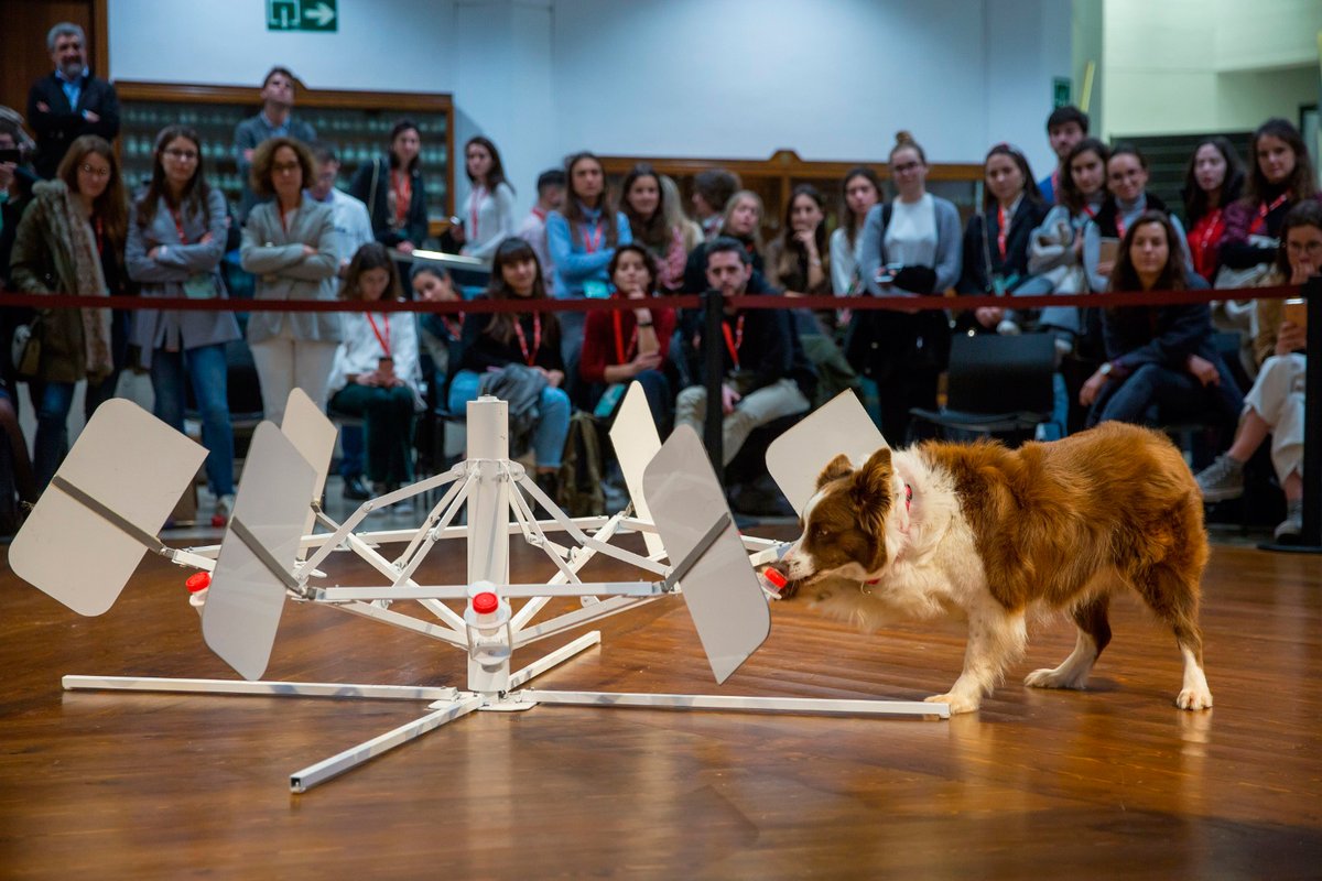 La Asociación de Cáncer y Detección Olfativa Canina (CDOC), procedente de Valencia, participó ayer en el <a href="/COEunav/">Congreso de Oncología para Estudiantes</a>. Yuca, una border collie, fue la encargada de demostrar el trabajo de la Asociación, que adiestra a perros para diagnosticar determinados tipos de cáncer. 
👇