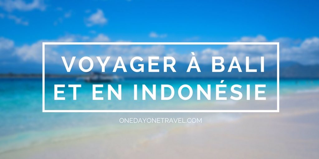 Onedayonetravel's tweet photo. Tous nos conseils pour #voyager à #Bali et en #Indonésie après 8 voyages sur place : Tout ce qu’il faut savoir, voir et faire 🤩
(Et on y est encore !)
👉 https://t.co/cRhjhQ8uCI
#onedayonetravel #blogvoyage
#sulawesi #flores #java #gilis https://t.co/3sup6Feh5V