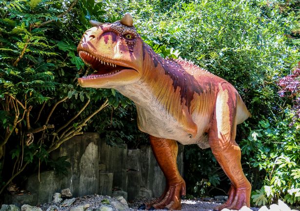 If you've got a little dinosaur fan in the family then you'll know they love nothing more than seeing the prehistoric animals come to life.
Here is a list of places in and around Manchester with the best dino spots.
manchestereveningnews.co.uk/whats-on/famil…