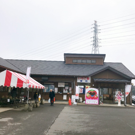 井頭観光いちご園 井頭観光いちご園