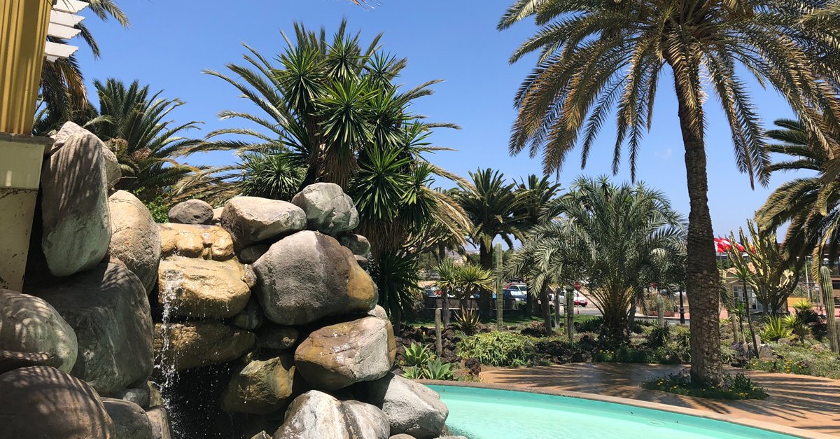 Palm_Oasis's tweet photo. ¡Qué corto se nos ha hecho febrero! https://t.co/zF0Y5OSmLK #PalmOasis #GranCanaria #viajar https://t.co/XAwRUDM9Hx