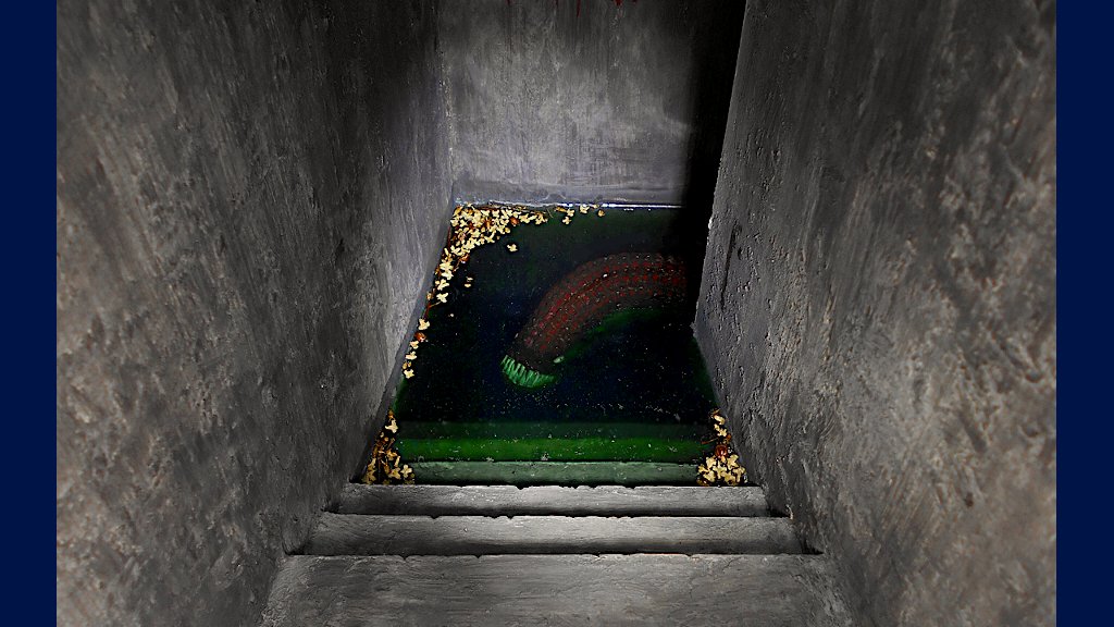 たらそほびや Thalasso Hobbyer 古い地下道をひとりで探検していたら 謎のお魚に足をかじられそうになった そんな経験 だれでも一度はありますよね そんなさりげない日常の風景を ジオラマ 模型 で表現してみました どうぞよろしくお願い申し上げ