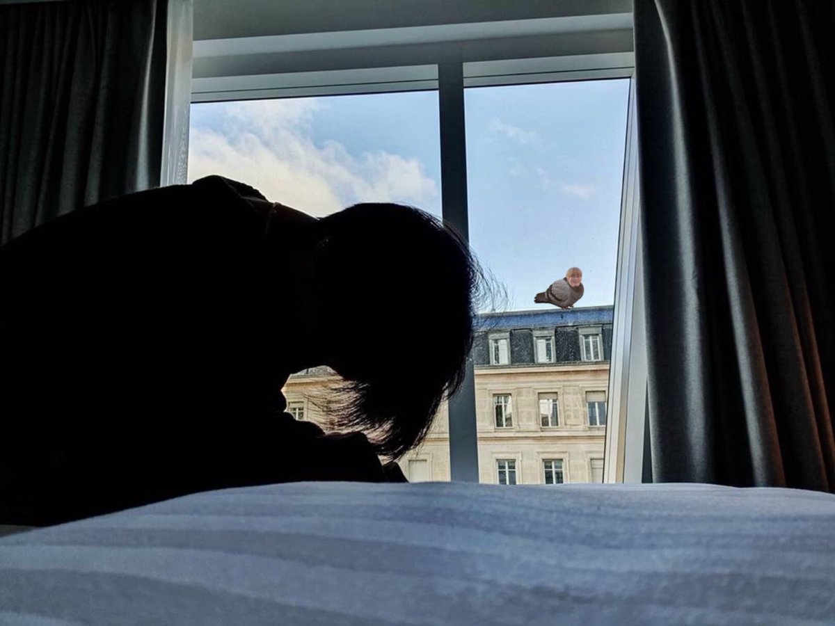 นกอ้วนตัวนี้บินไปไกลถึงลอนดอนก็เพื่อพี่เตนล์