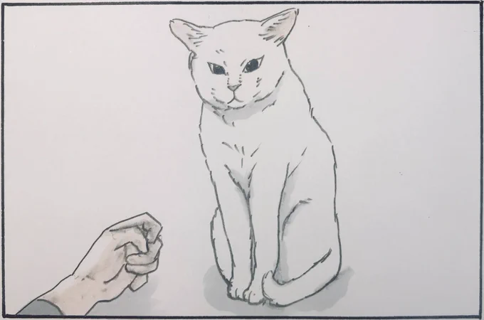 『猫がとろけるまでの様子』 