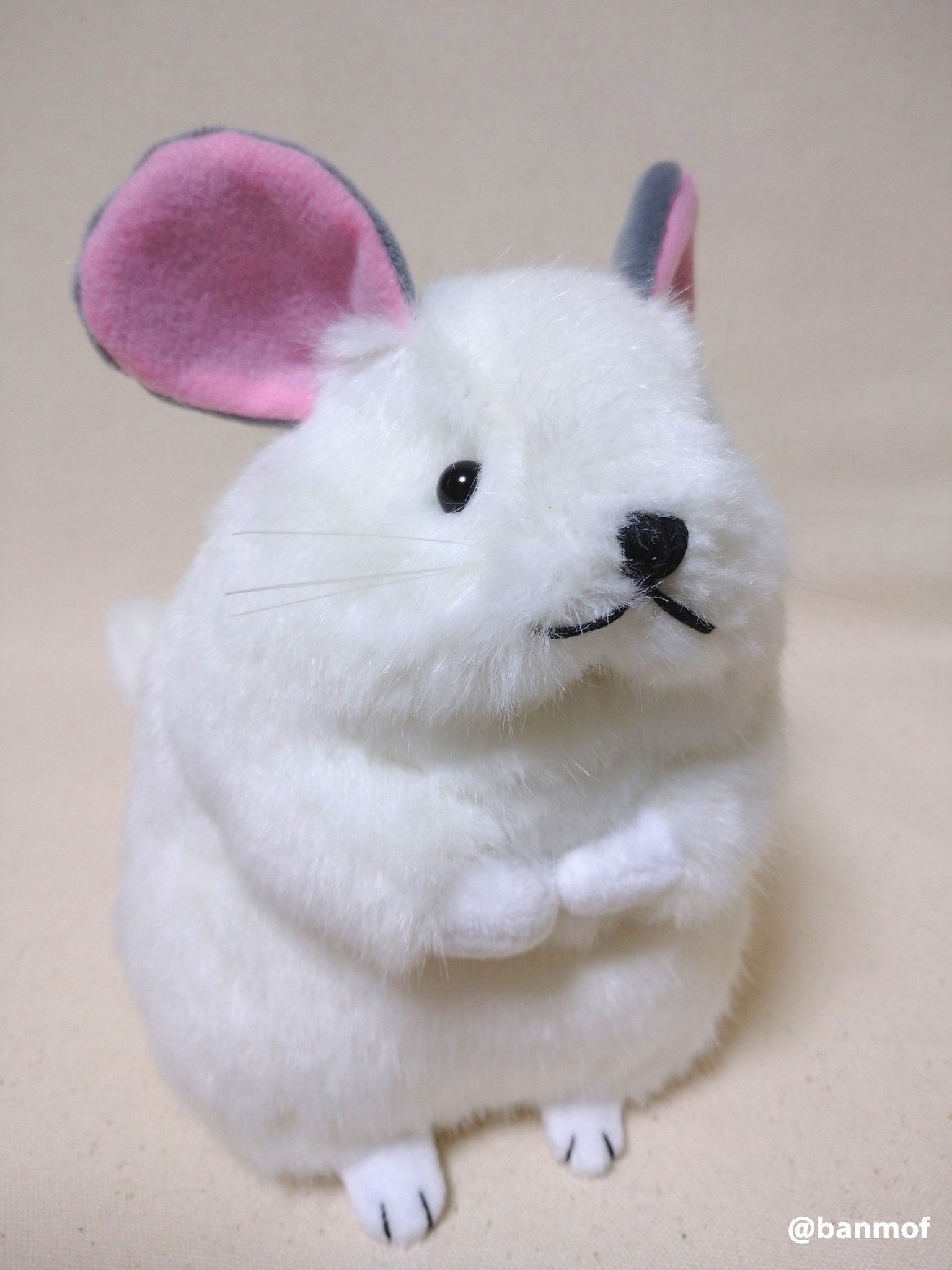 チンチラぬいぐるみ ハンドメイド作家 BanMof - メルカリ