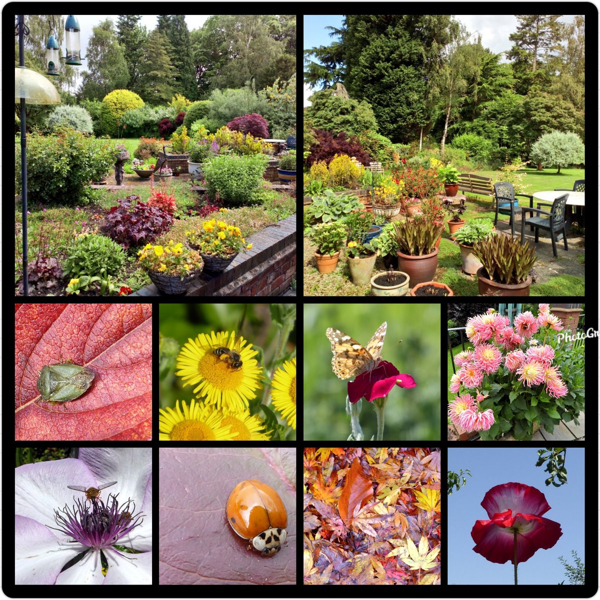 natepix1's tweet photo. @clockwork_dolly I'm thinking we will be seeing a lot of #FlowerLove and #FlowerBombs today with a big splash of #LookingBackLookingForward 😉Let's get started 🤣🌿🌺🌸🌼🌻
Ps Have a lovely day 😘 https://t.co/yI5CqJV0qy