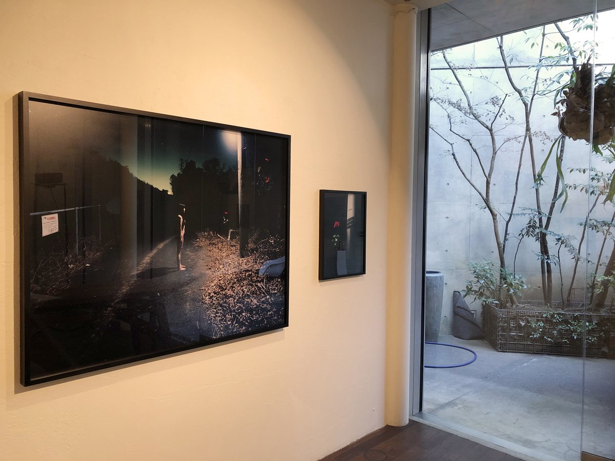 EMONPHOTO's tweet image. 本日2月28日(金)より開催！小林秀雄による新作展『街灯』。『街灯』『街灯135』『花と電柱』の3シリーズからなる渾身の新作群です。是非ご高覧ください。
小林秀雄新作展 『街灯』
2月28日(金）～3月28日(土）東京都港区南麻布5-11-12 B1F 
Open 11:00-19:00 sat-18:00 Closed sun,holidays