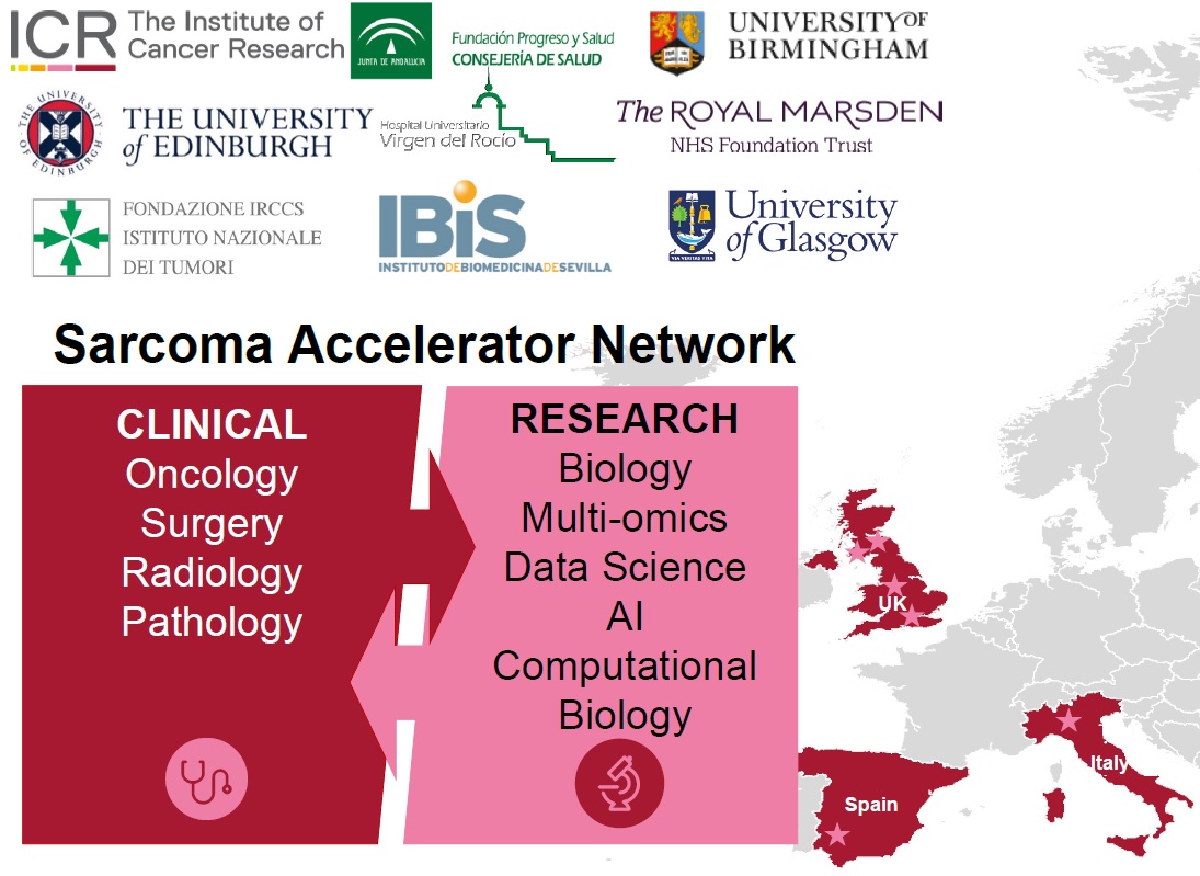 HuangLabICR's tweet photo. Very proud and excited to be part of the new Sarcoma Accelerator Network led by @RobinL_Jones. This network will build a revolutionary digital hub of clinical &amp; molecular data to identify new biomarkers &amp; drugs for high-risk #Sarcomas. Read more here https://t.co/XD8XS5GTdV (1/4) https://t.co/kyeuU8JMO5