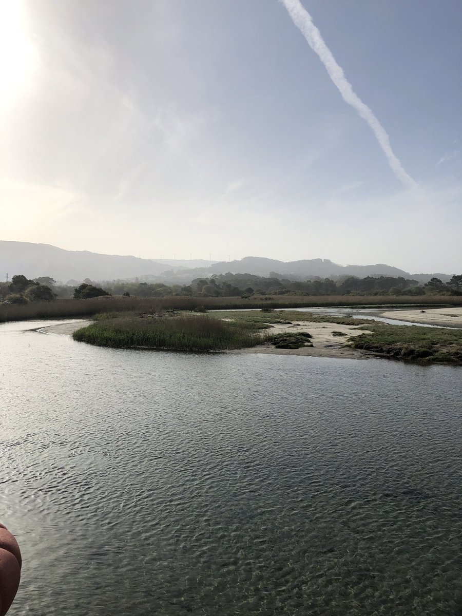 Julien RODRIGUES ROQUE tweet media