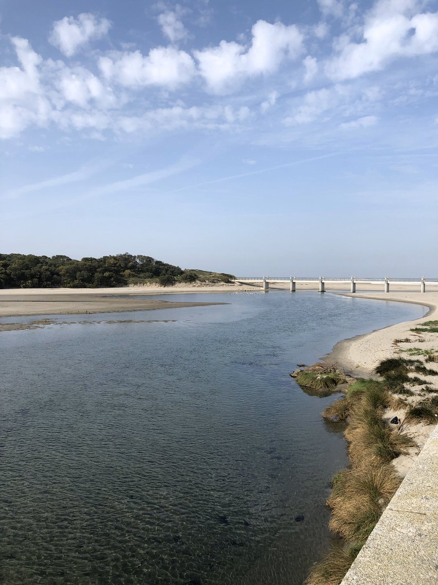 Julien RODRIGUES ROQUE tweet media