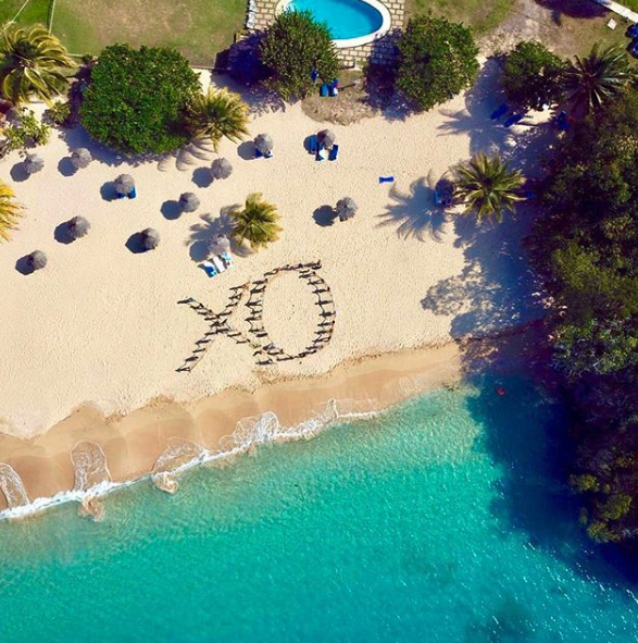 Essential Detail tweet media