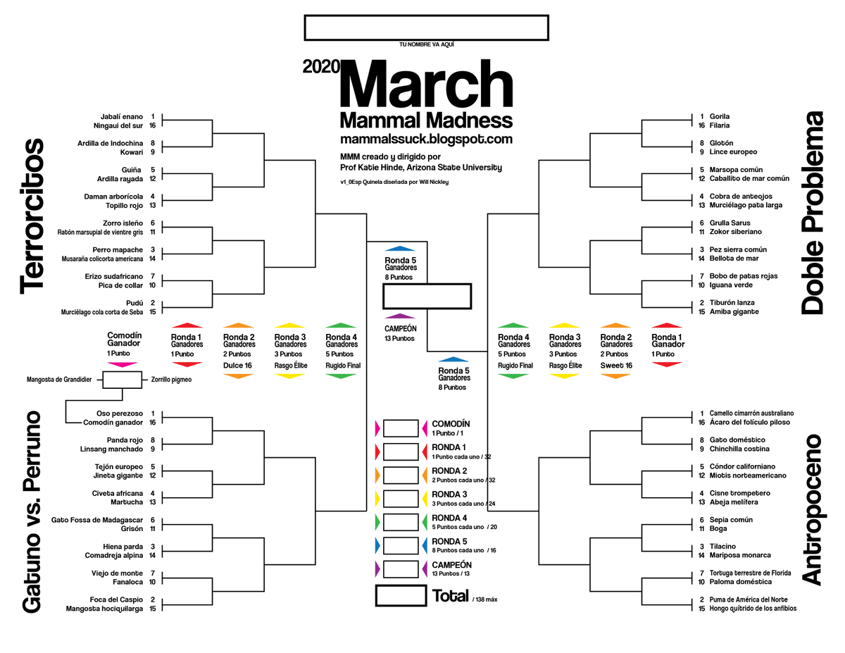 Mammals_Suck's tweet photo. YOU GET A BRACKET! &amp; YOU GET A BRACKET! &amp; YOU GET A BRACKET! EVERYONE GETS A BRACKET! 
#English #Español #LatinBinomial 
(bracket design by @nickleyw, Spanish translation by Profesora Alejandra Nuñez-de la Mora) https://t.co/wTQwyZx7Gy https://t.co/OsIvISM3ww