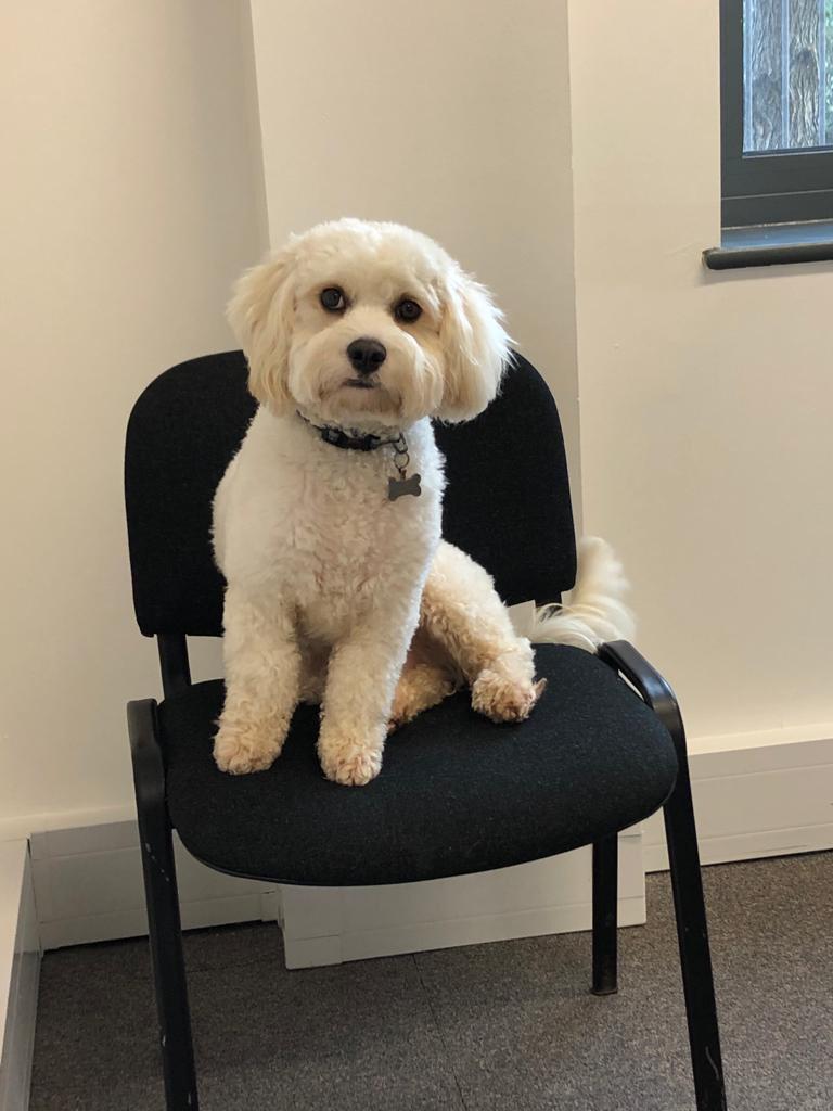 RyderSlade tweet media