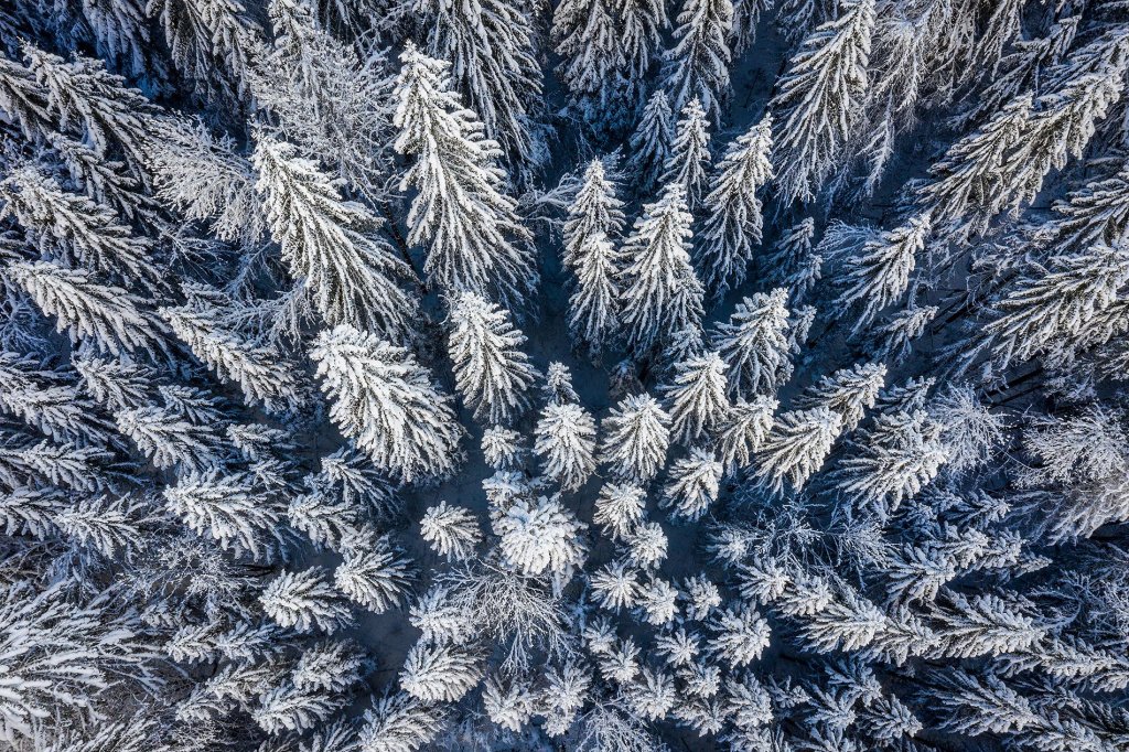 The only way to have your true dream ski holidays to the French Alps is to design them yourself. This article takes you through every step.  
-> vbt.io/goto/1eop