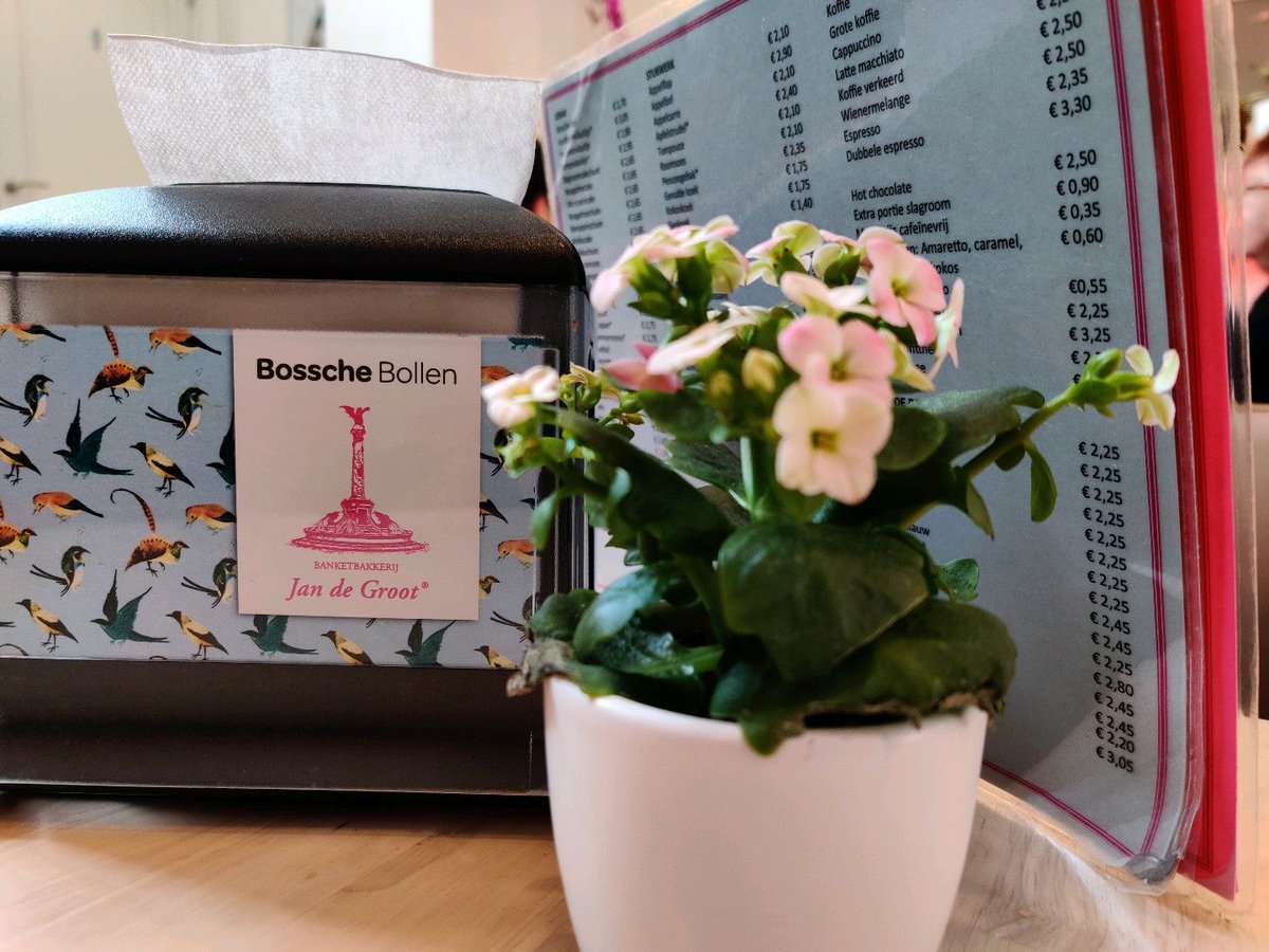 Wat je beloofd moet je waarmaken... Bosche bollen eten met de dames 😋👌🏼 (@ Banketbakkerij Jan de Groot in 's-Hertogenbosch, Noord-Brabant) swarmapp.com/c/ia7lUNlgCs6